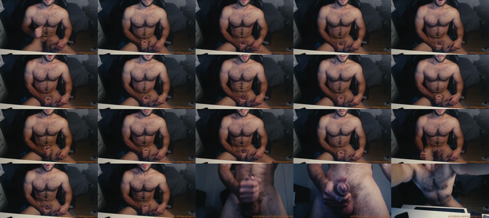 cutehairymacho  02-03-2022